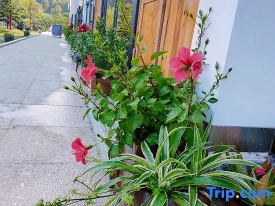 Yishui Yiju Boutique Homestay, Xihai, Lushan