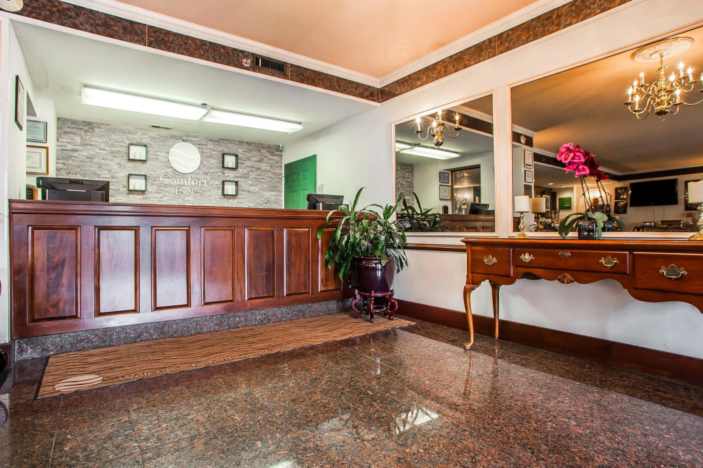 Lobby & Reception
