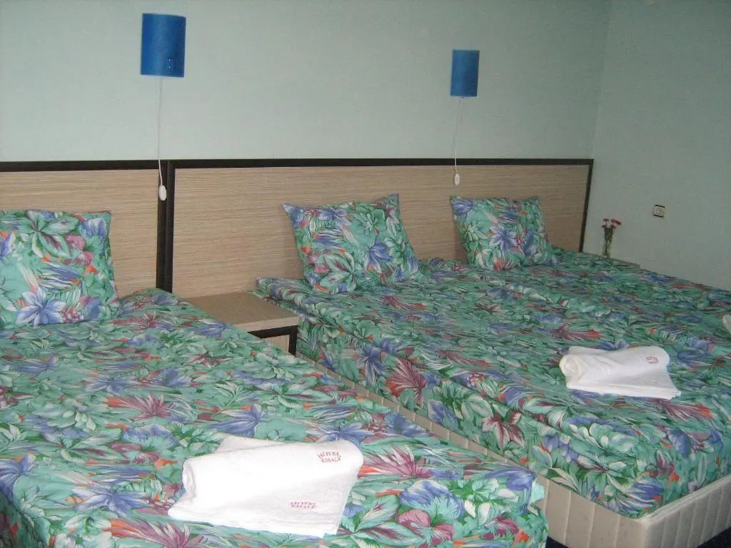 Hotel Emaly Green - Chambres