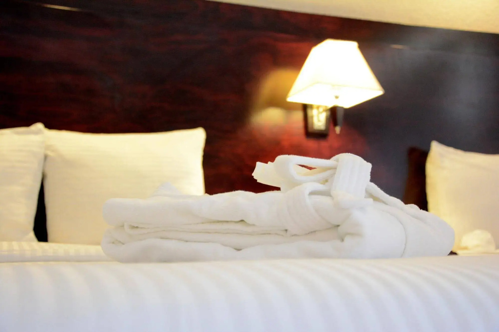 Hotel Maria del Carmen Merida - Général