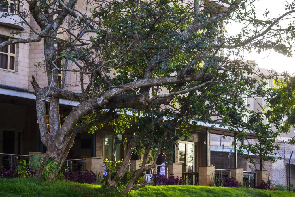 Qaribu Inn