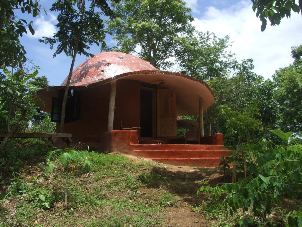 Image 10