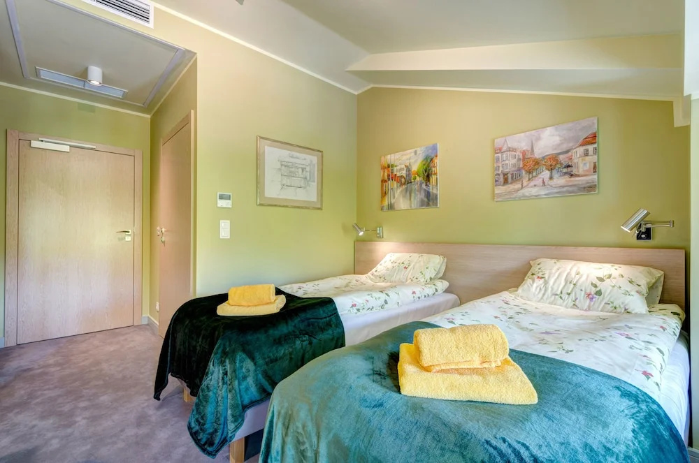 Standard Double room with city view (full double bed)