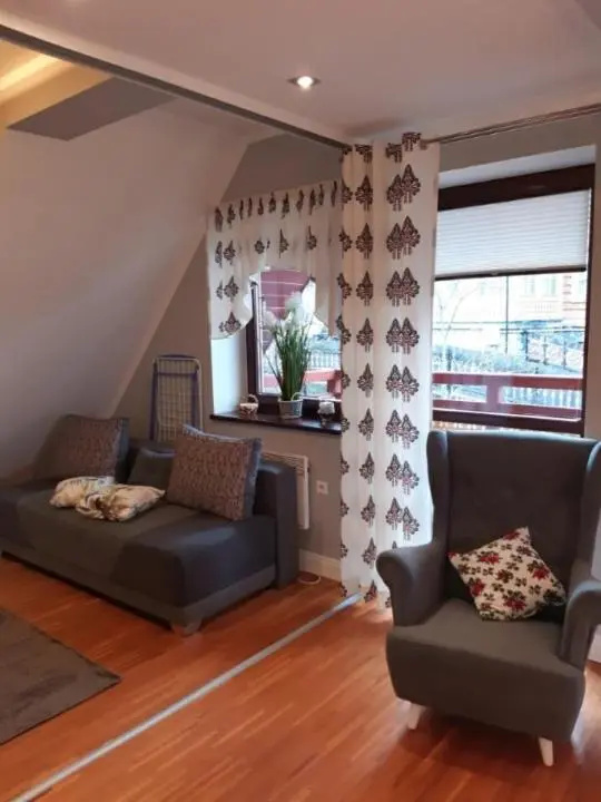 Apartament Róża 2 Sauna & Jacuzzi Jaszczurówka 21a