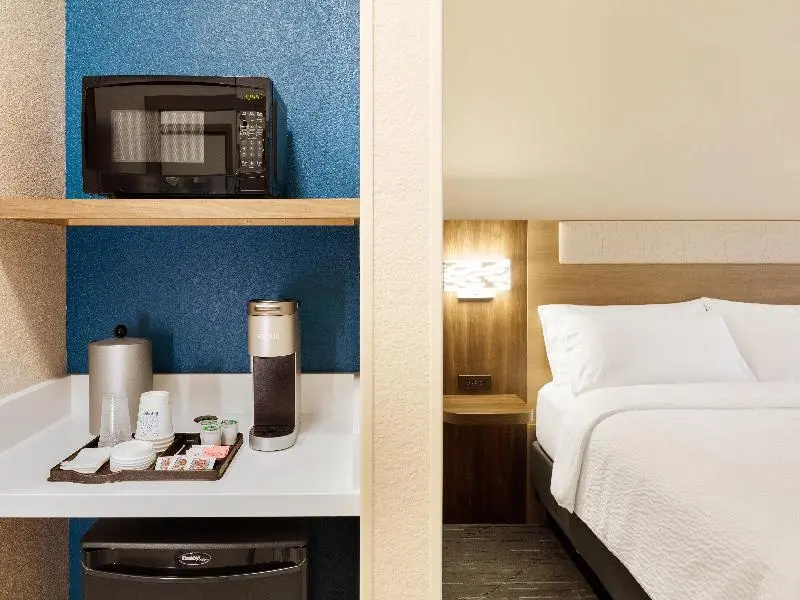 Holiday Inn Express & Suites Carbondale - University Area by IHG - Chambres