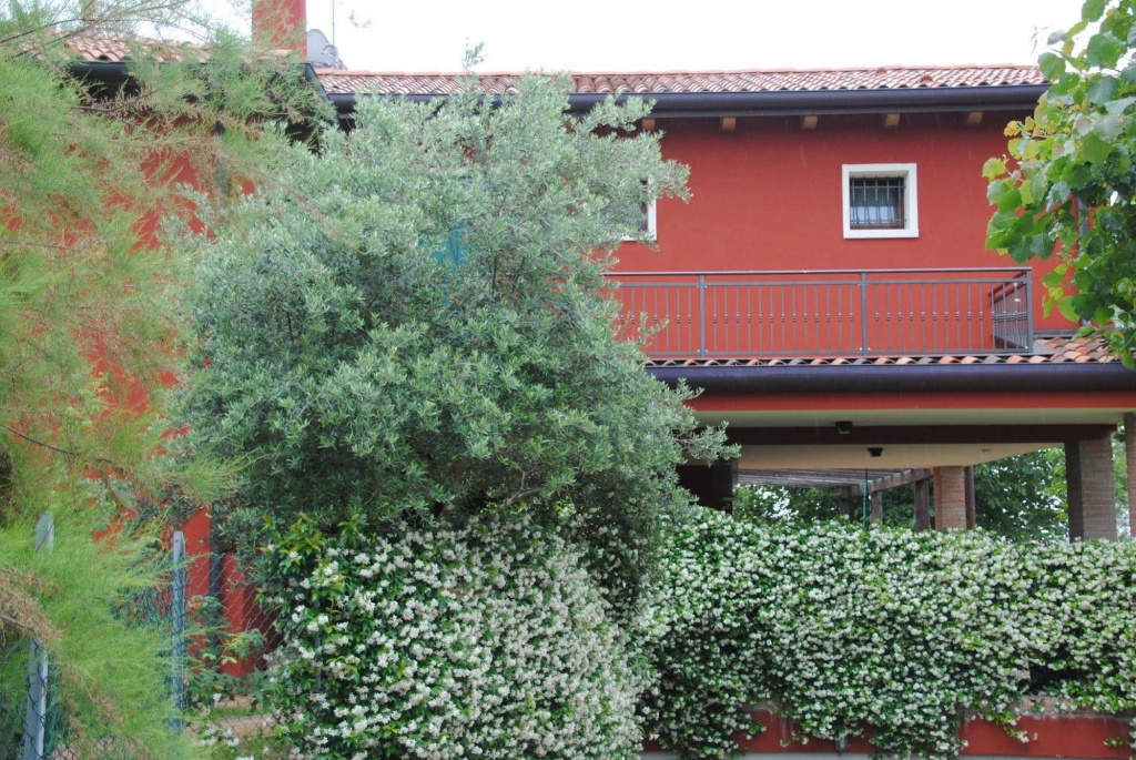 Casa Rosso Veneziano