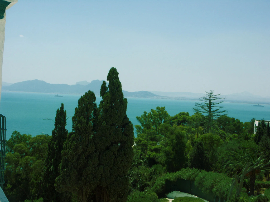 Dar El Fell Sidi Bou Said - Adults Only - Général