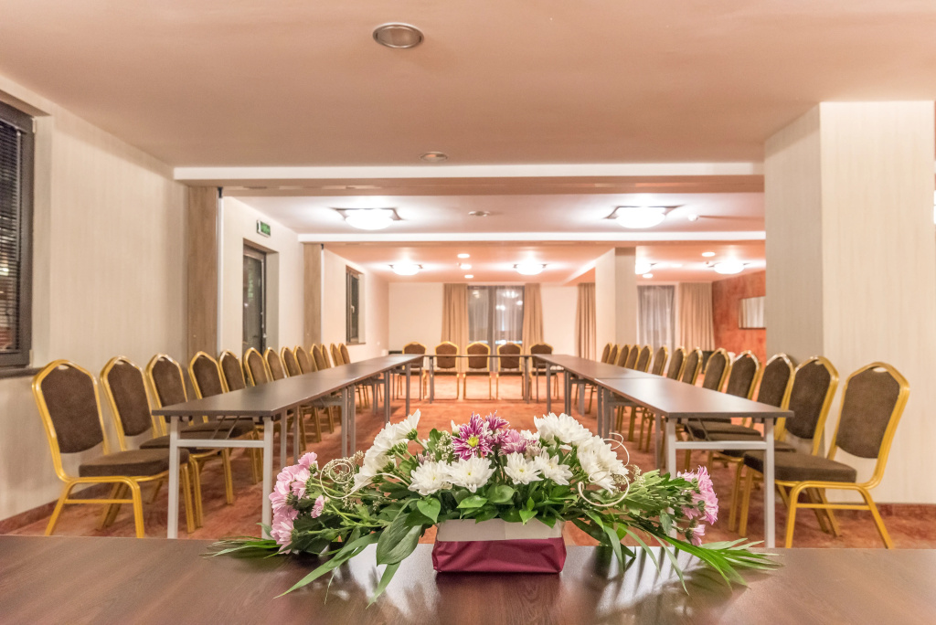 Lion Hotel Borovets - Général
