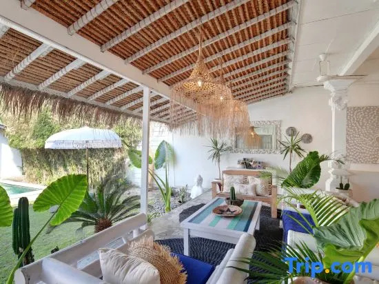 Affordable 4BR Villa | Seminyak-Canggu Border