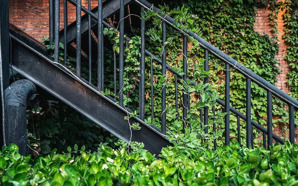 Balcony & Terrace