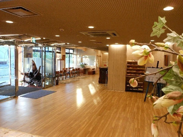 Saga Grace Hotel - Chambres