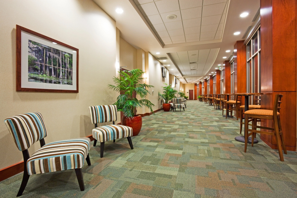 Holiday Inn Madison at The American Center by IHG - Général