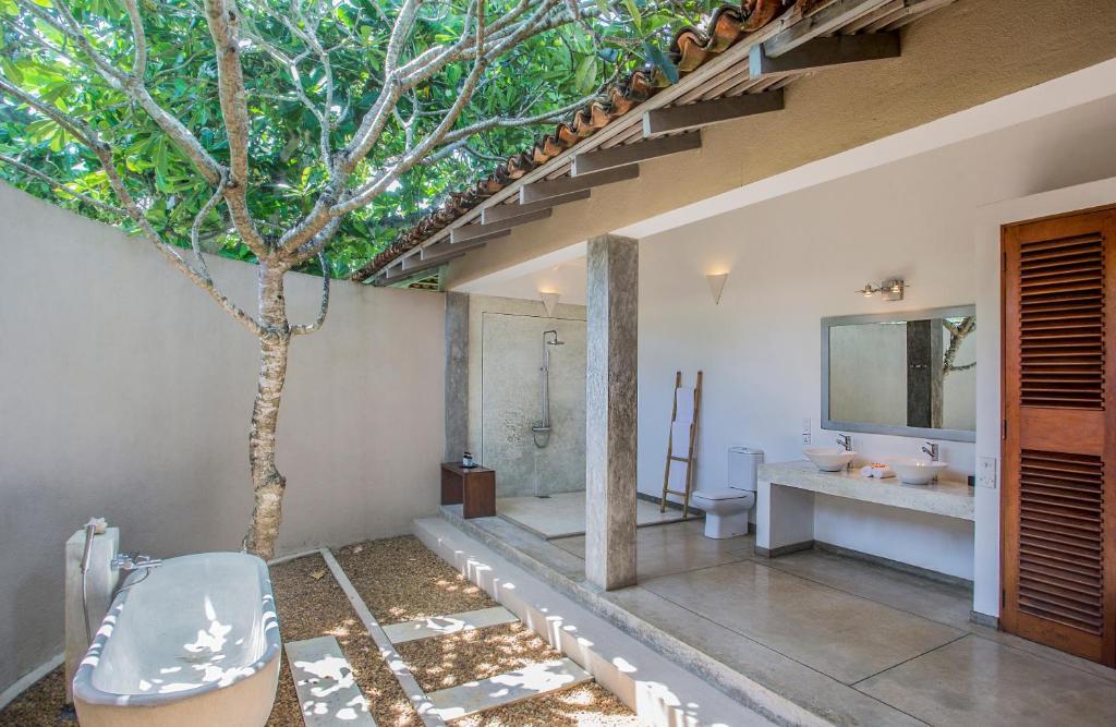 The Frangipani Tree By Edwards Collection