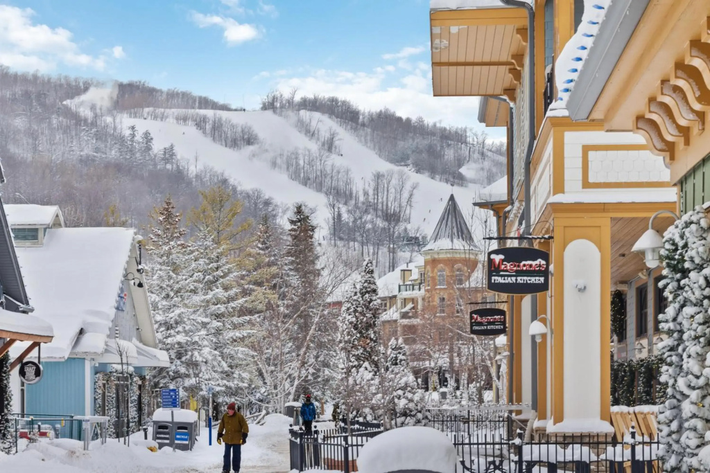 Exceptional 3 BDRM Townhome - 4 Seasons Rental