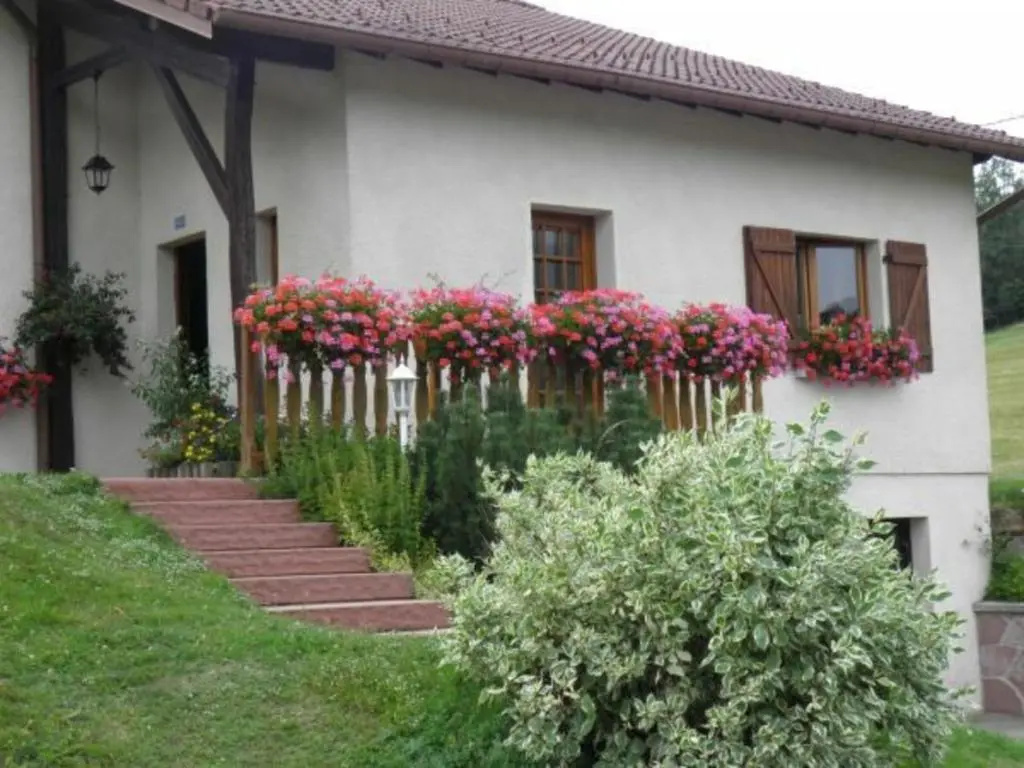 Gîte Ban-sur-Meurthe-Clefcy, 3 pièces, 5 personnes - FR-1-589-137
