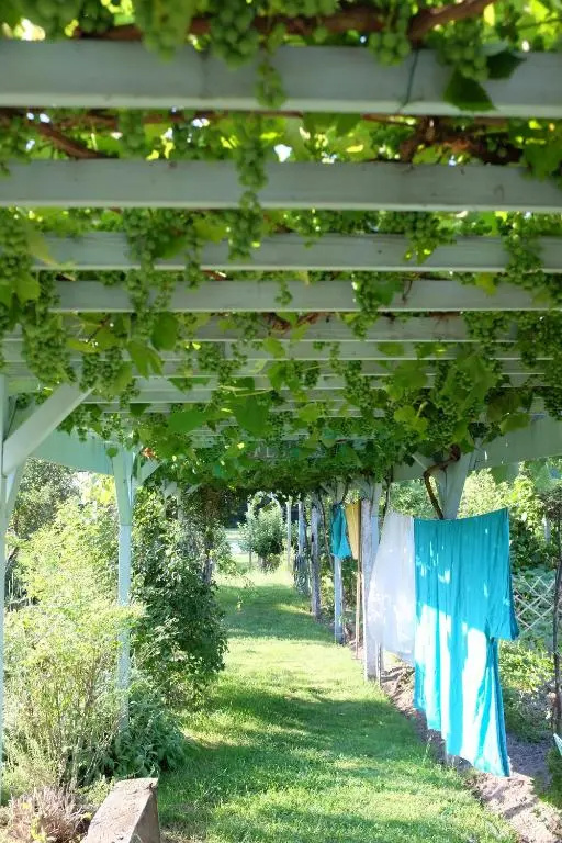 Voir la photo 2 — Le Clos du Ru