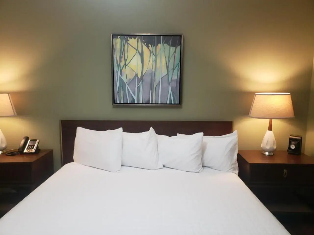 Hotel Hale - фото 2