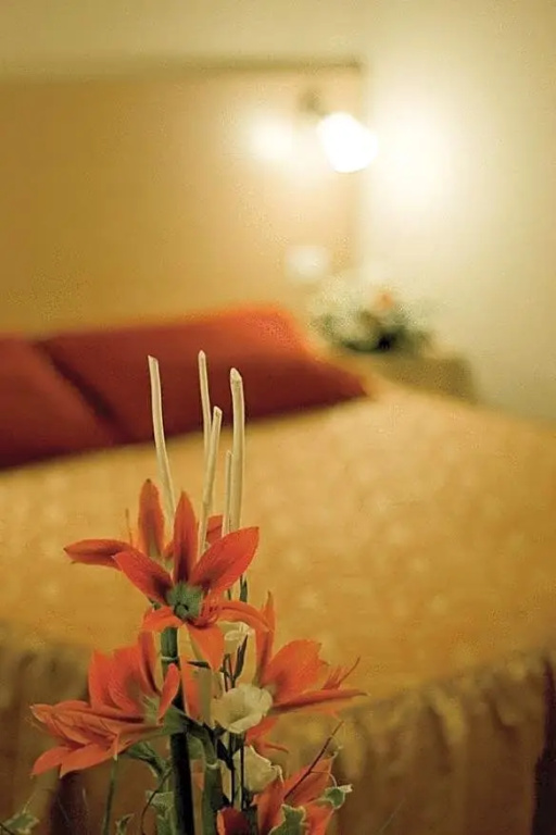 Hotel Granducato - Chambres