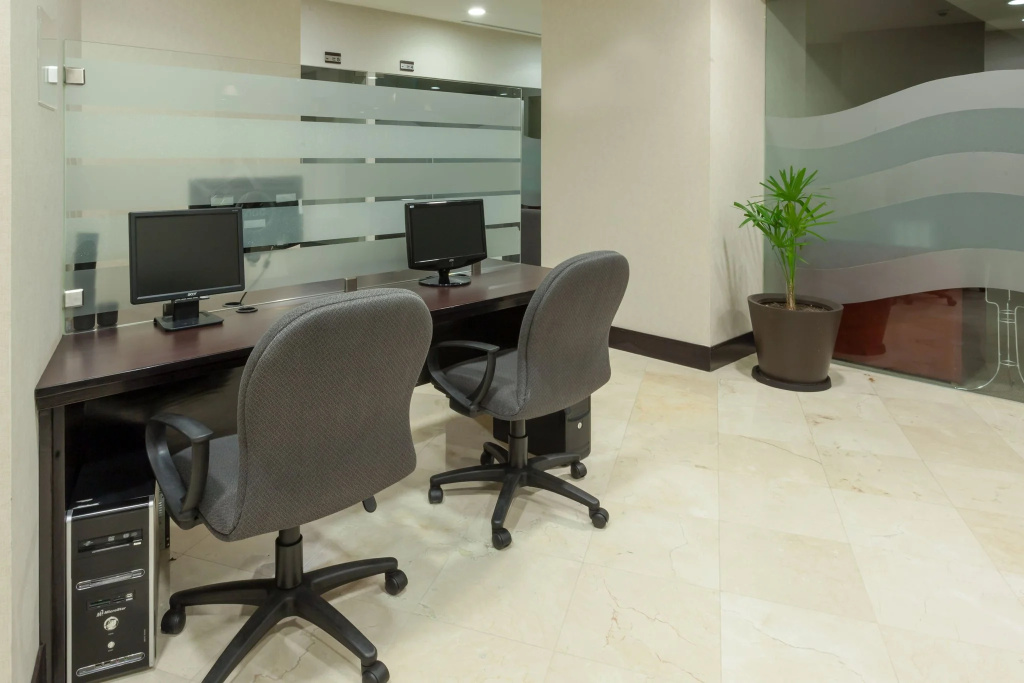 Crowne Plaza Leon by IHG - Général