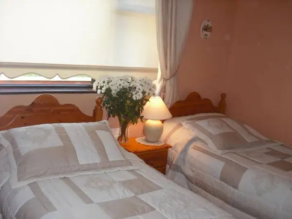 Mount Edward Lodge - Chambres