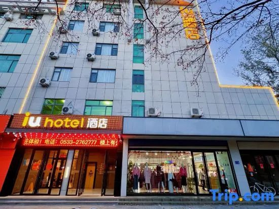 IU Hotel (Zibo Eight Bureau Wanda Plaza Branch) in Zibo
