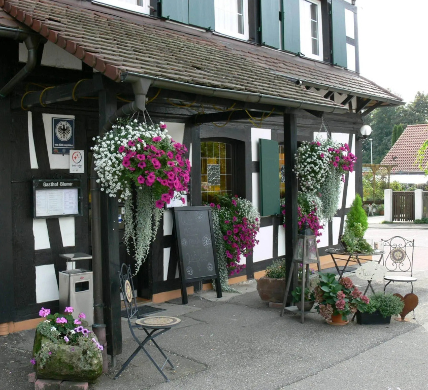 Hotel Landgasthof Blume - Général