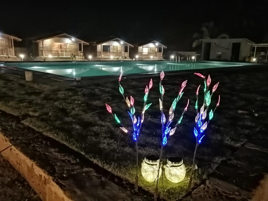 Radhika Eco Resort(Odonata)