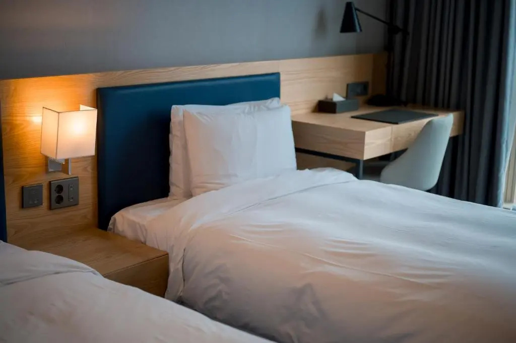 Deluxe Double room (twin beds)