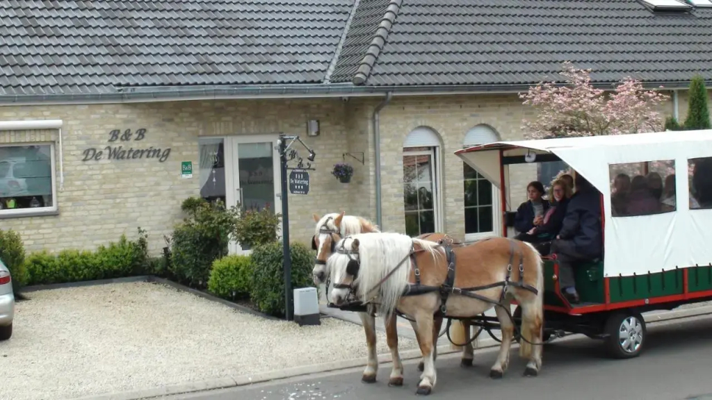 B&B De Watering - фото 18
