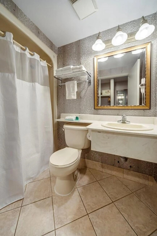 Monte Carlo Inn - Brampton Suites - Général