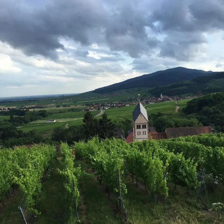 Gîte FLEUR DE VIGNES