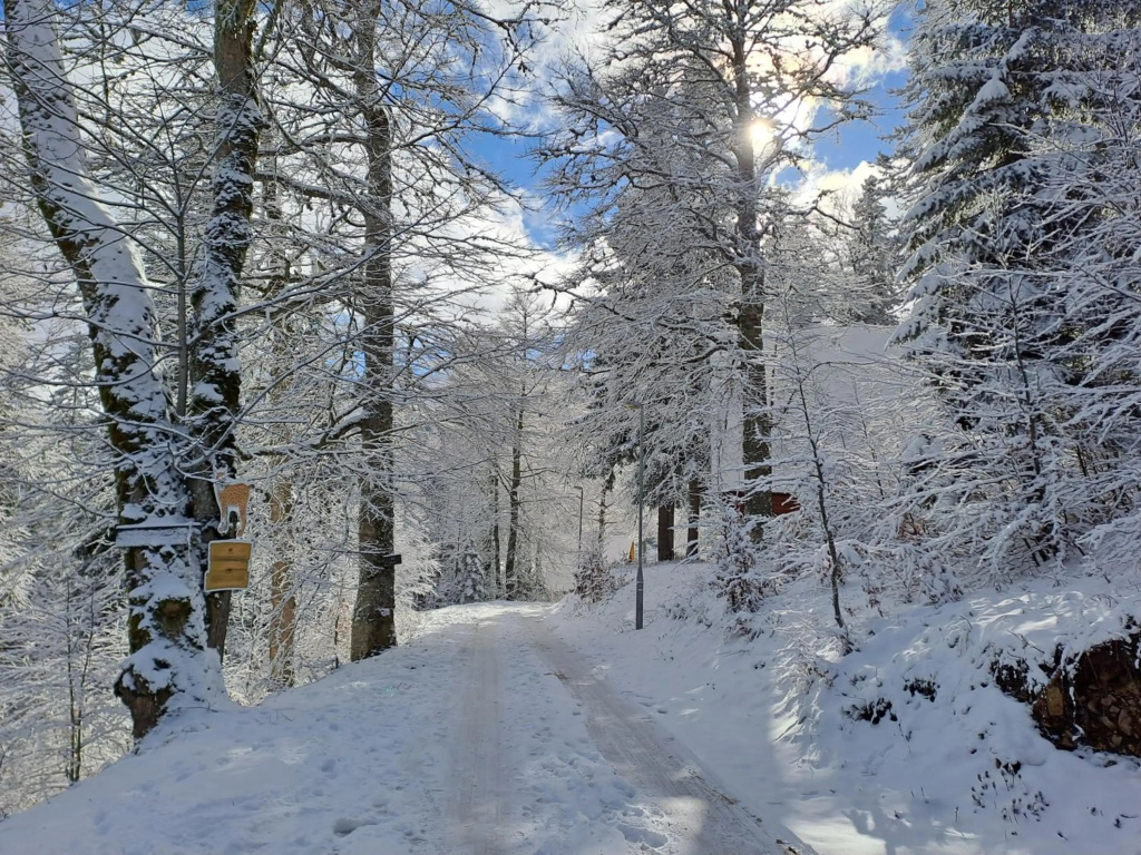 Apartmani Nela 1 Jahorina