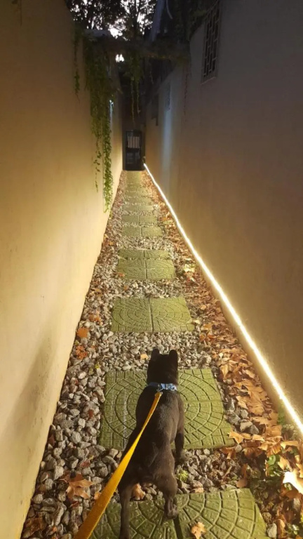 Toca Madera Hostel — 5