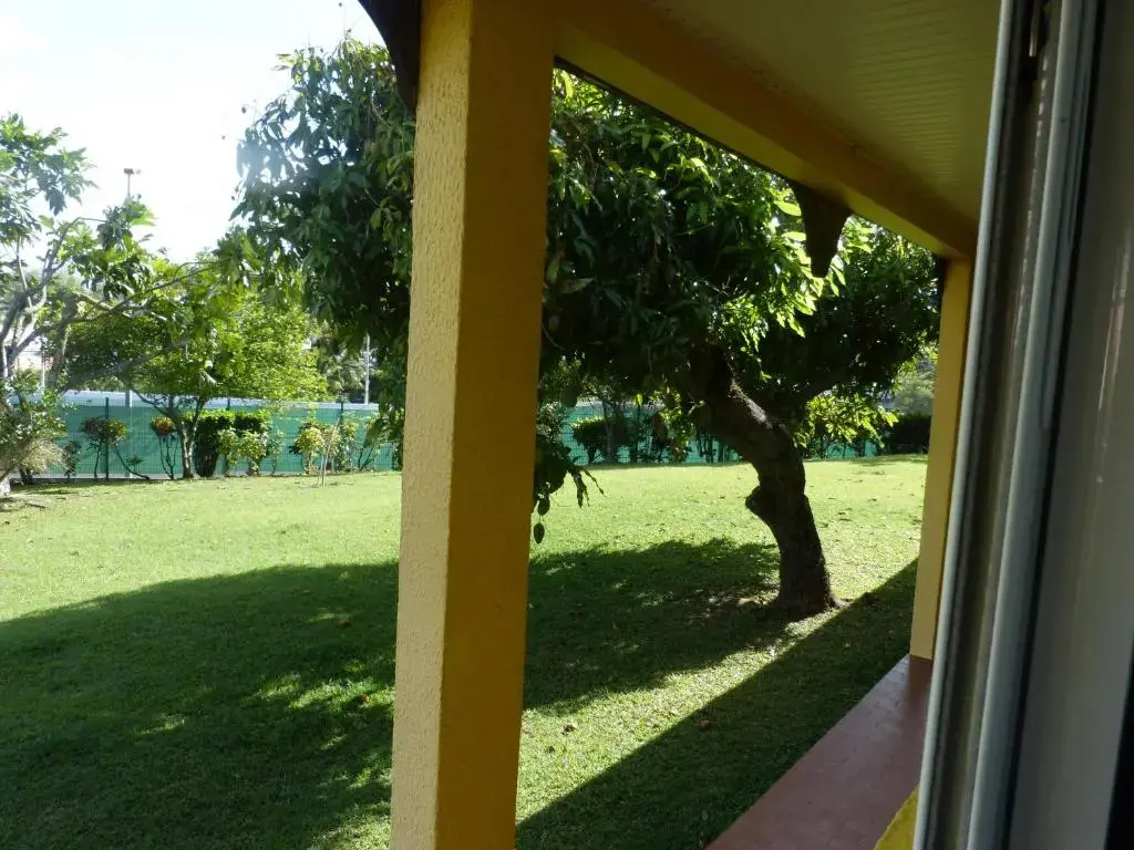 Balcony & Terrace
