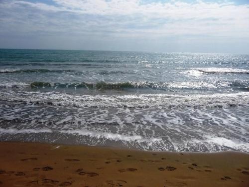 Beach & Waterfront