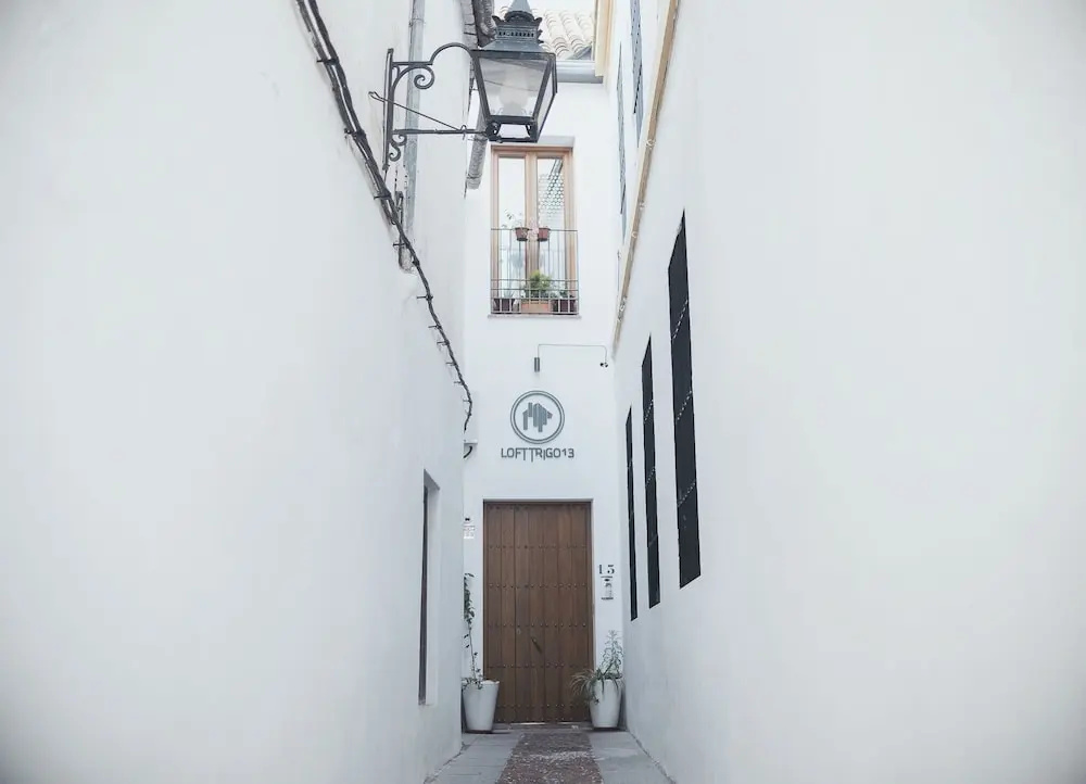 Lofts Trigo 13 - Général