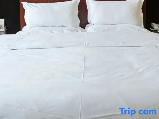 Superior Double room (full double bed)