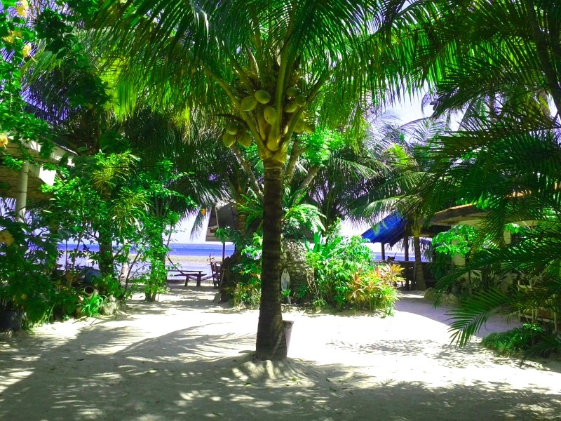 Jadestar Lodge