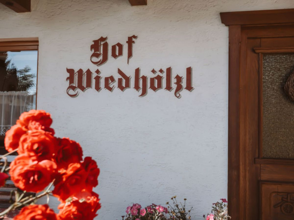 Wiedholzl (BMG142)