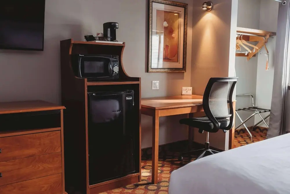 1 Bedroom Suite