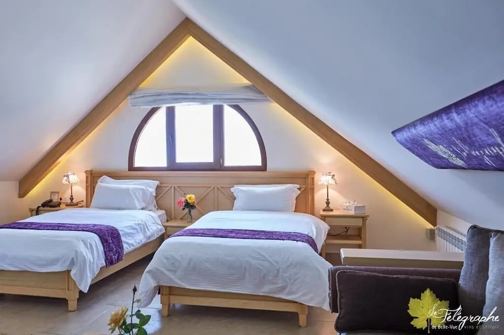 Deluxe Double room (full double bed)