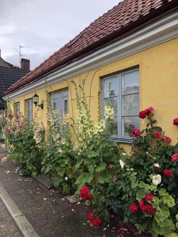 apartmentpicture