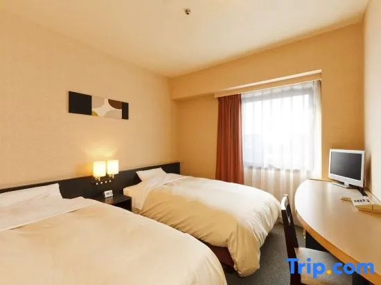 Standard Double room with city view (twin beds)