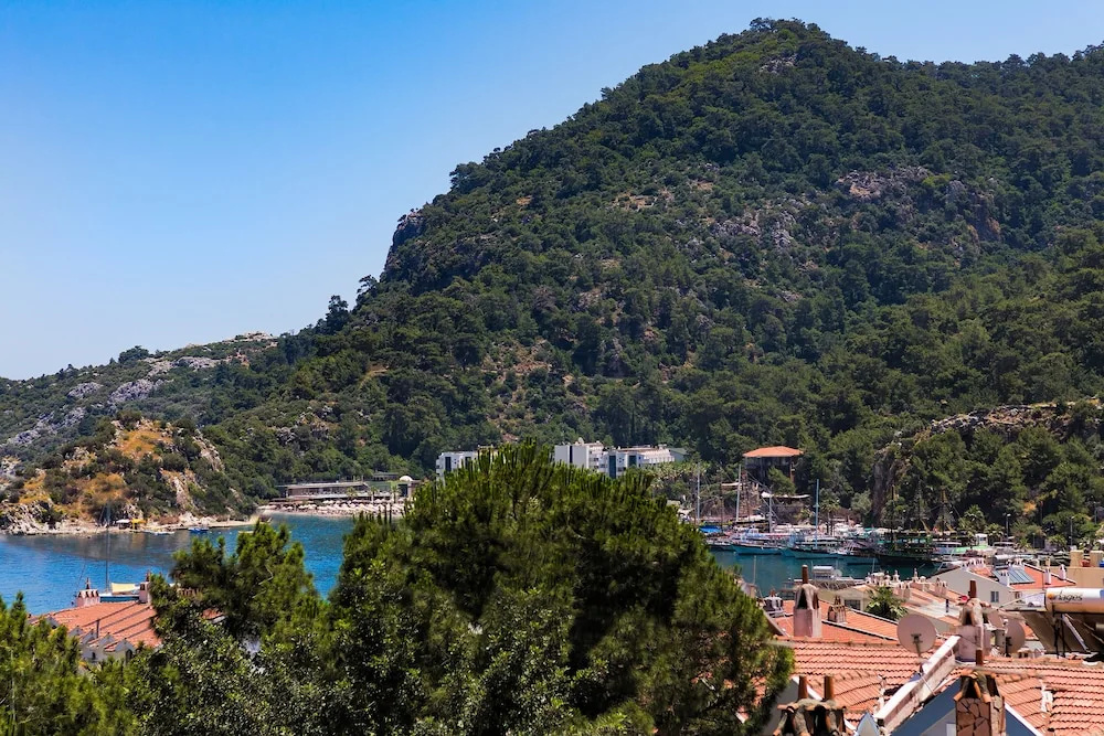 Beach & Waterfront