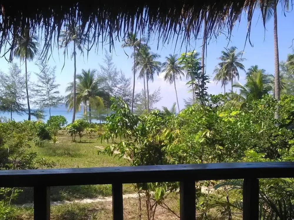 Image 11