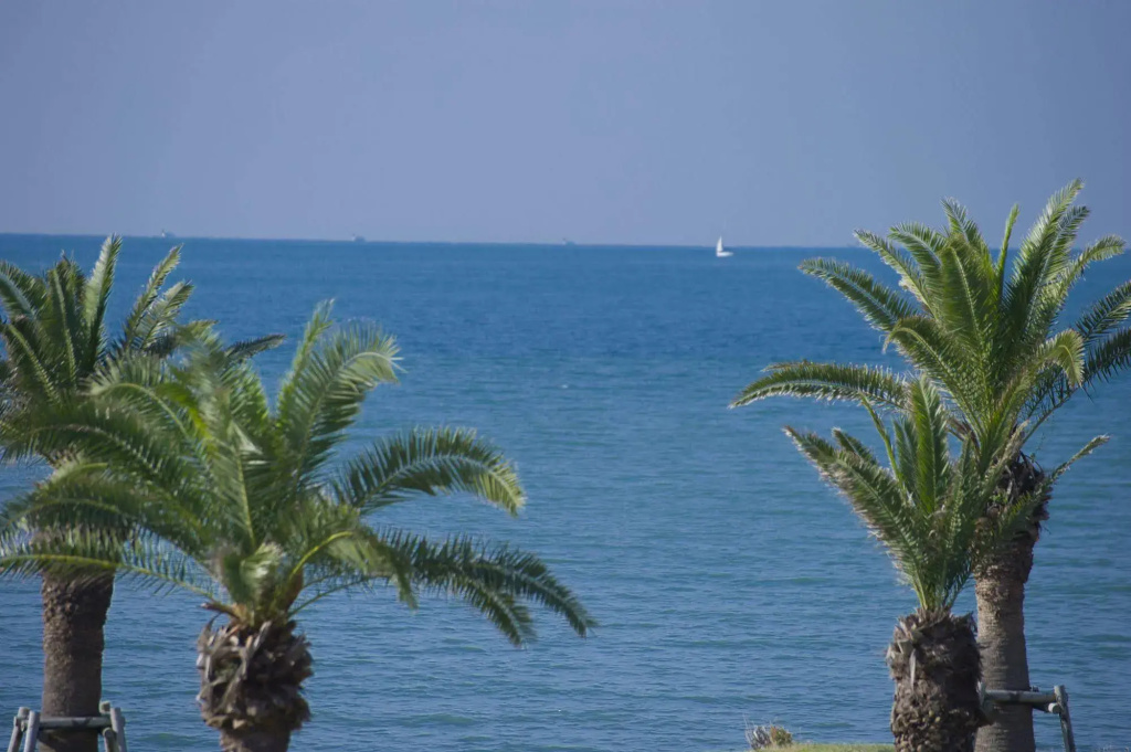 Tateyama Seaside Hotel - Général