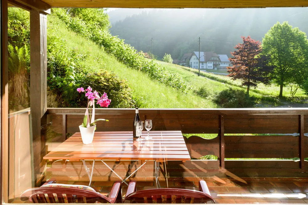 Balcony & Terrace