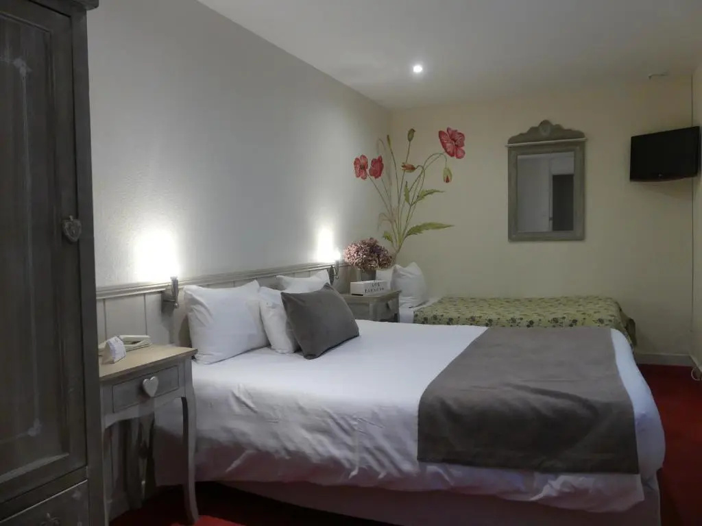 Standard Double room with city view (full double bed)