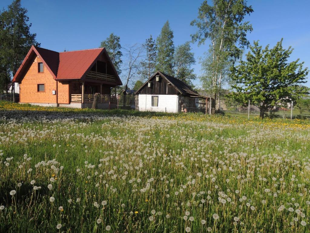 Image 13