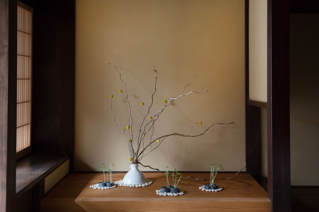 Ryokan Mugen 사진 19